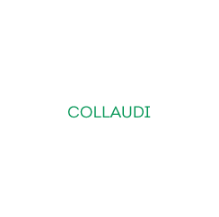 Collaudi