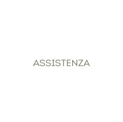 Assistenza